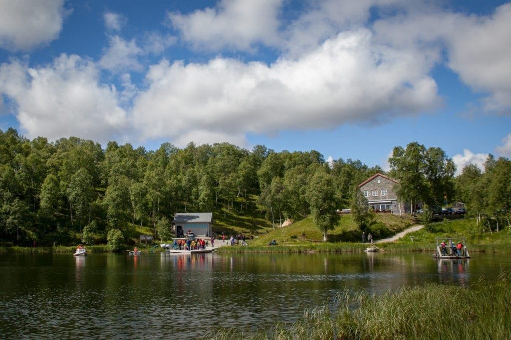 10 bærekraftige sommeropplevelser på Røros og i Østerdalen - Visit ...