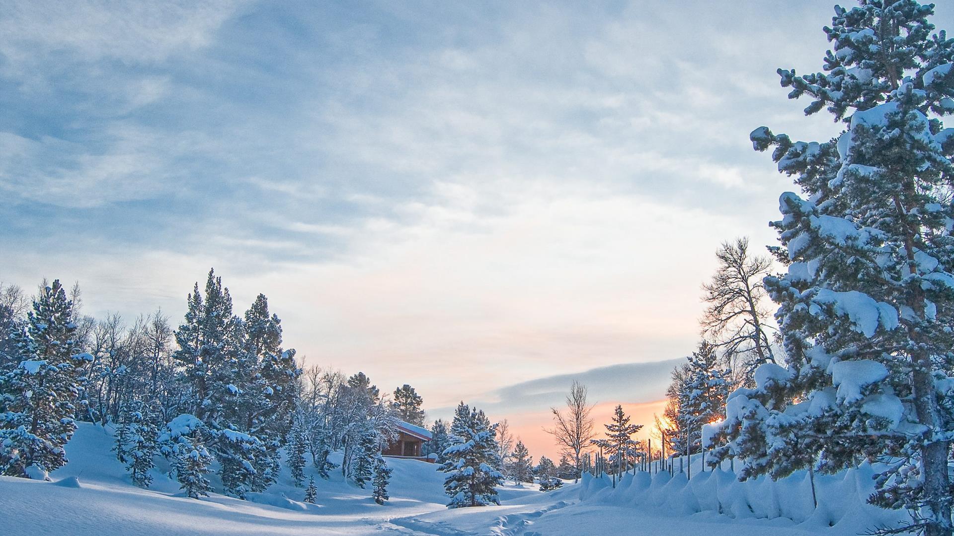 Alvdal-vinter-skispor-solnedgang-hytte