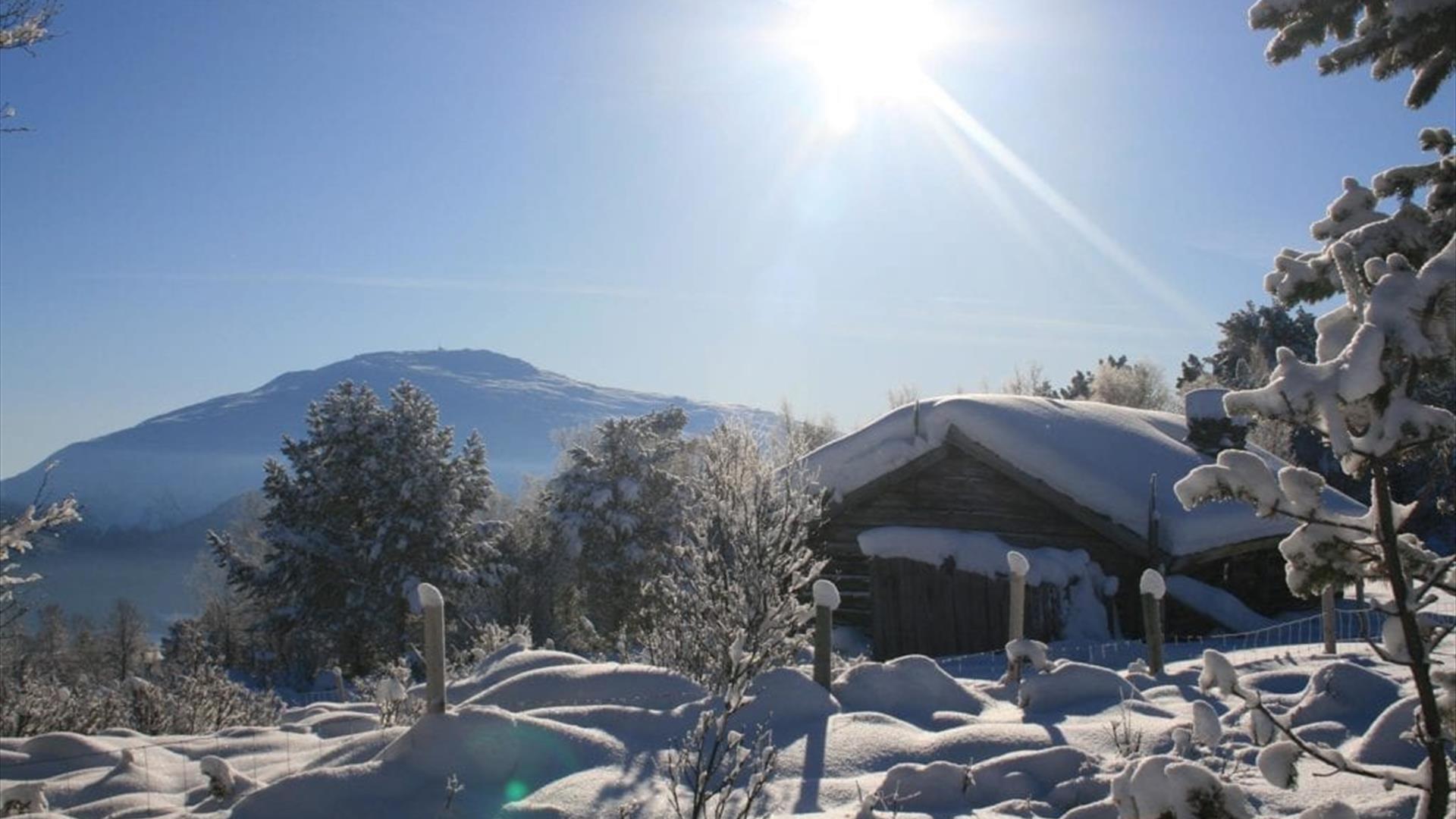 Vinter-hytteliv-hytte-utsikt-sol-Tronfjell-Østerdalen
