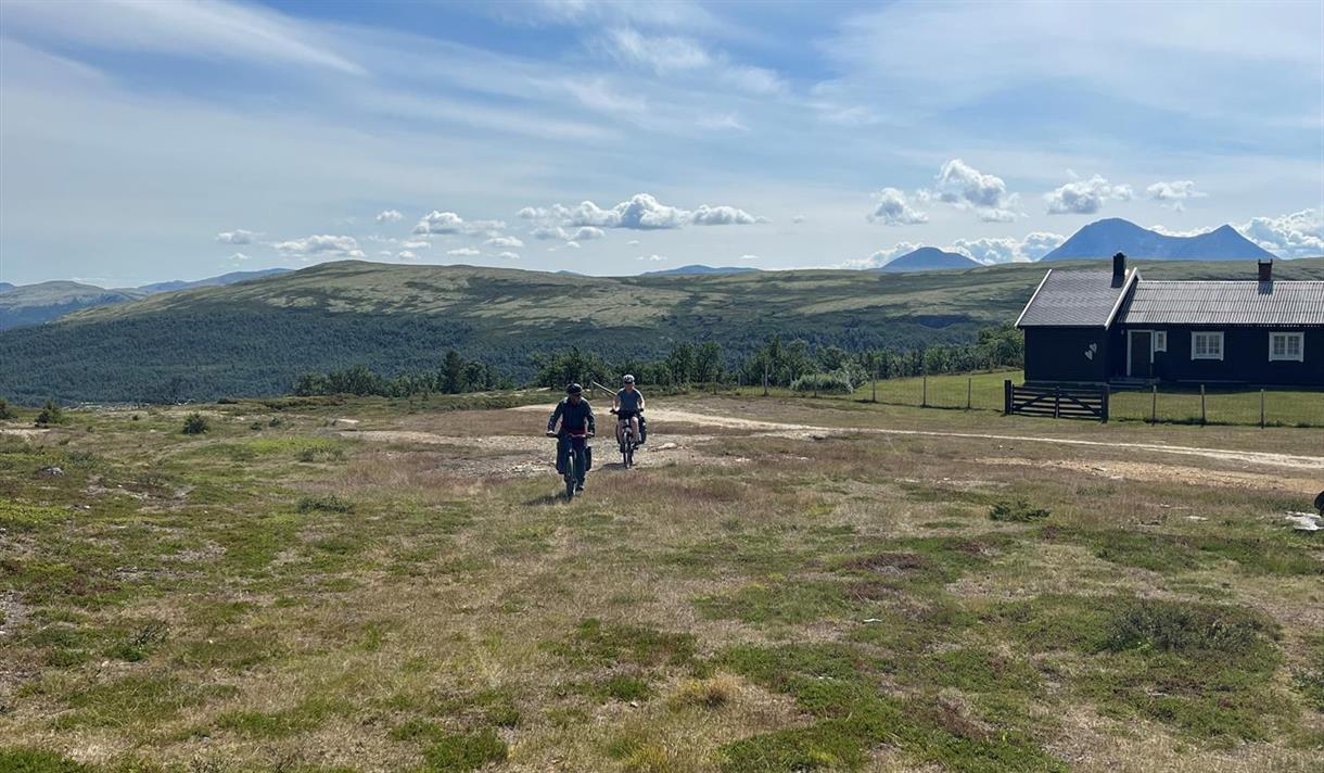 Lazy summer days - Visit Røros and Østerdalen