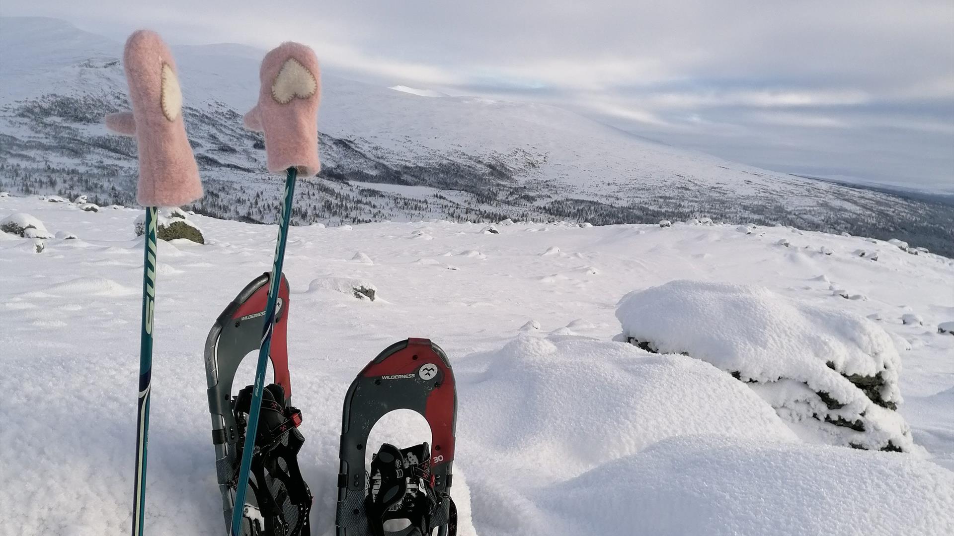 snowshoes-winter-activity-Røros-Østerdalen-wilderness-experience