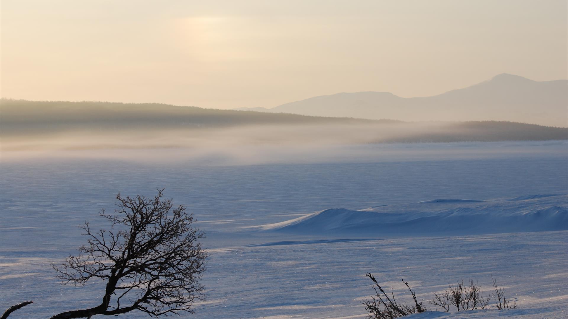Vinterlandskap- vinter- vidder- snøkledd- Bekkosen- Røros