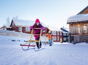 Thumbnail for Top 10 family activities in the winter