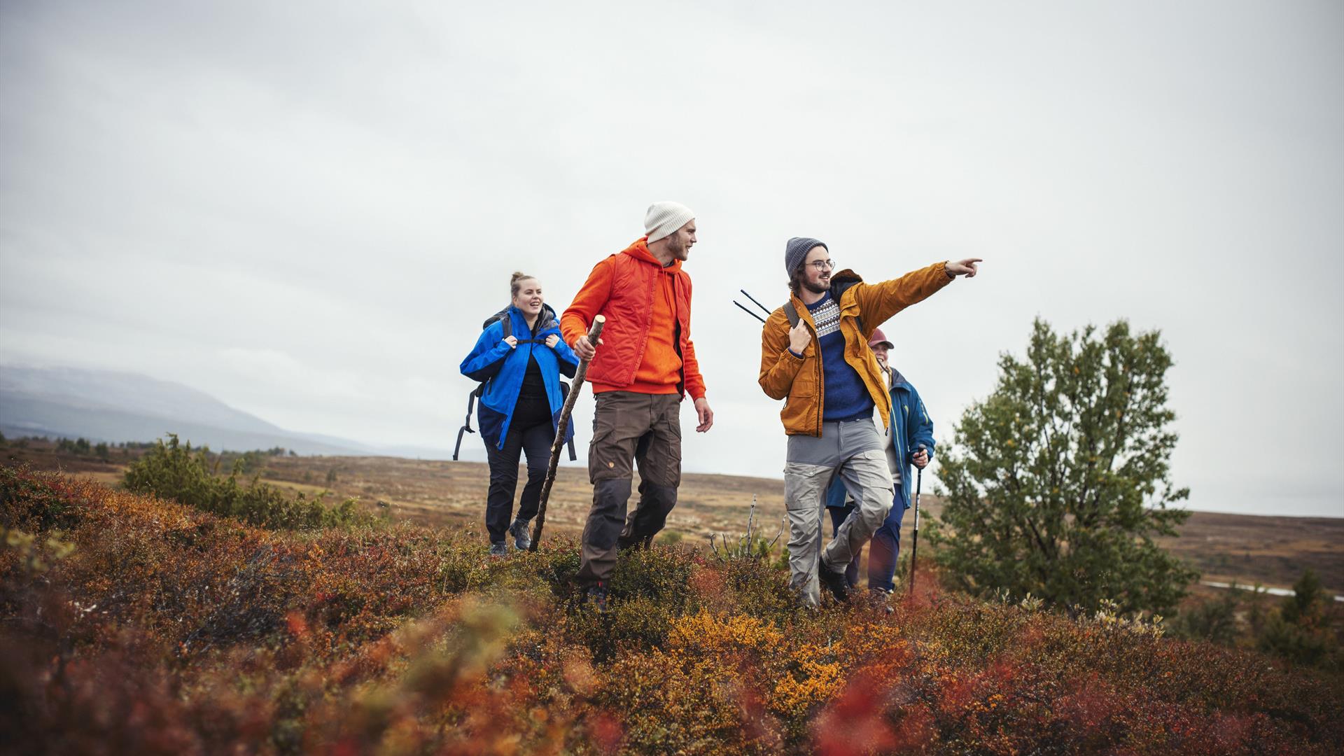 En gruppe mennesker som vandrer i fjellet