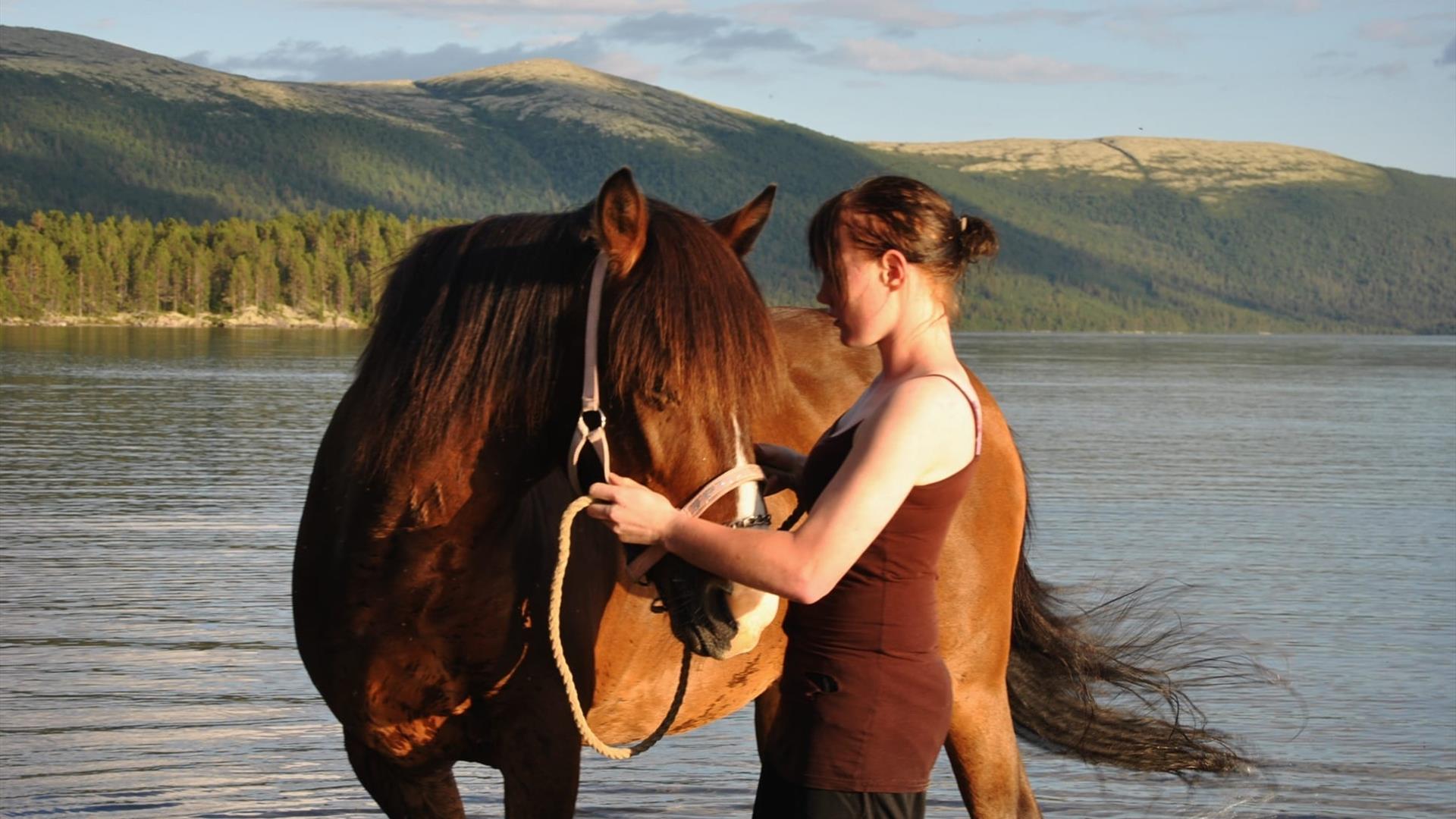 Savalen hestesenter-Sommer-aktivitet-Ridning-hest