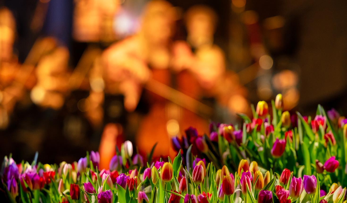 Åpningskonsert Vinterfestspill i Bergstaden Åpningskonsert Vinterfestspill i Bergstaden