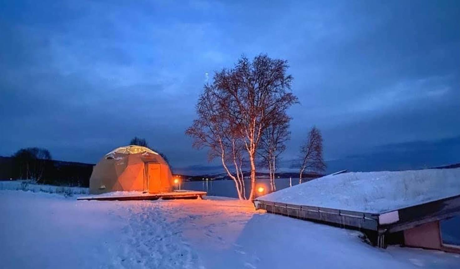 Arctic Dome