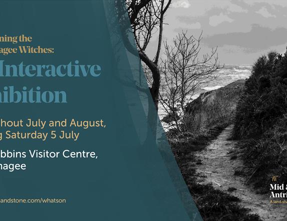Witches of Islandmagee marketing graphic