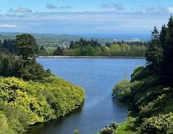 Angling @ North Woodburn Reservoir (Carrick Dams)