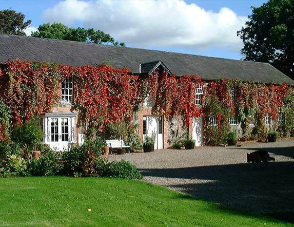 Jenny Bristow Cookery School Experience