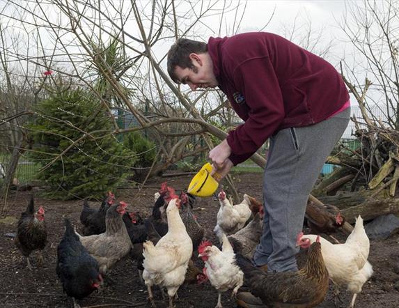 Carrickfergus Urban Farm & Garden Centre