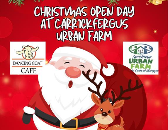 Carrickfergus Urban Farm Christmas Open Day