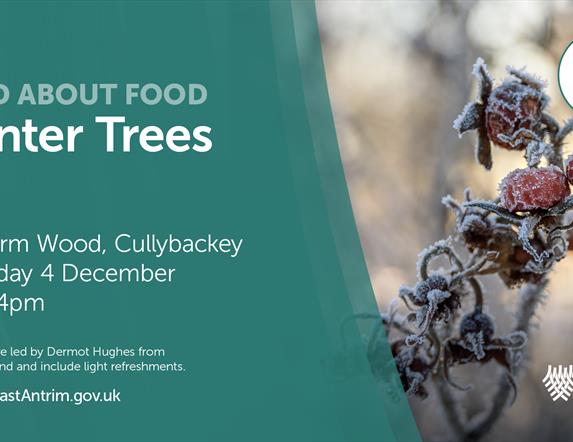 Wild About Food - Winter Trees, Galgorm Wood, Cullybackey,  Thursday 4 December, 2 - 4pm