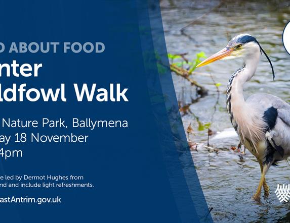 Winter Wildfowl Walk ECOS Nature Park Ballymena, Tuesday 18 November