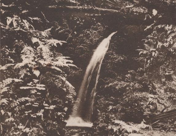 Postcard showing Waterfall, Magheramorne, Larne.