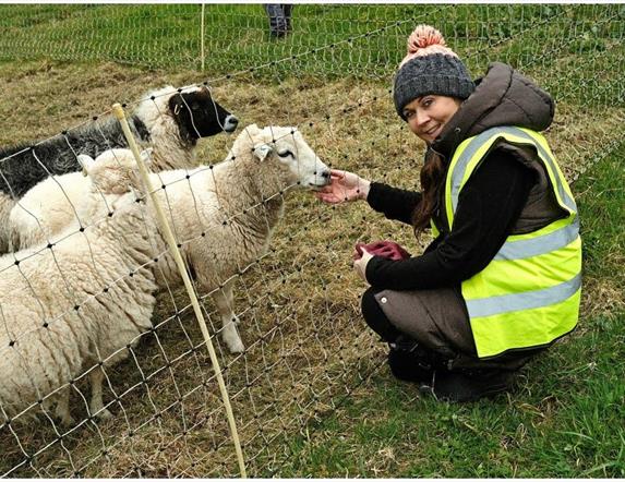 Bank of Ireland Open Farm Weekend - Jubilee Farm
