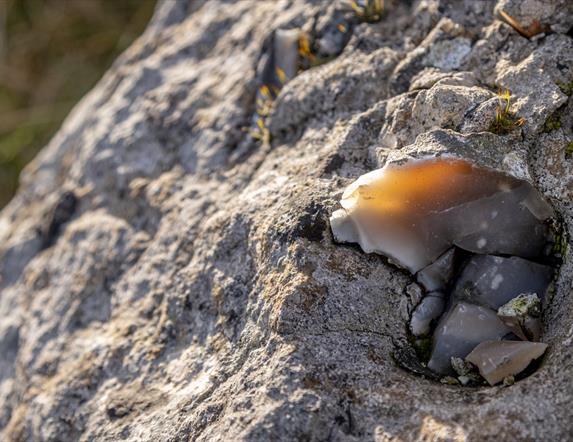 Flint bearing limestone cliffs at Glenarm by Paul McIlwaine