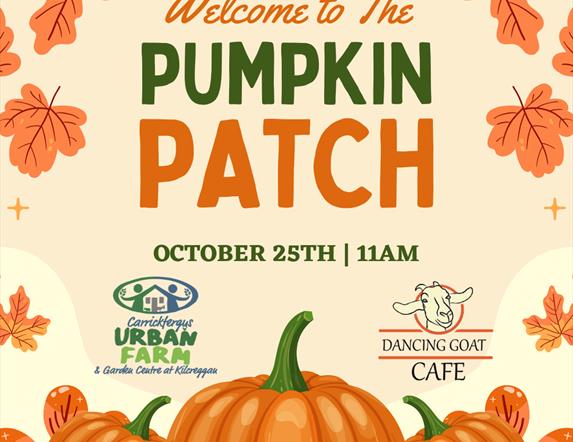 Pumpkin Patch