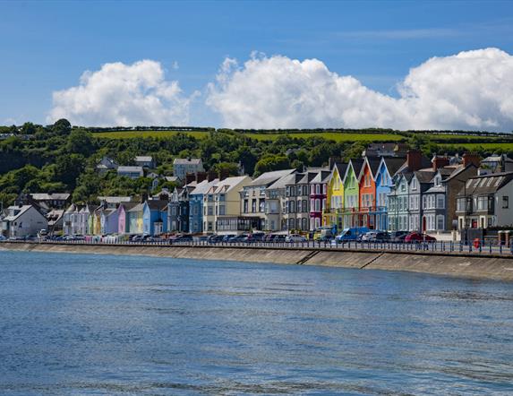 Whitehead Summer Festival 2025