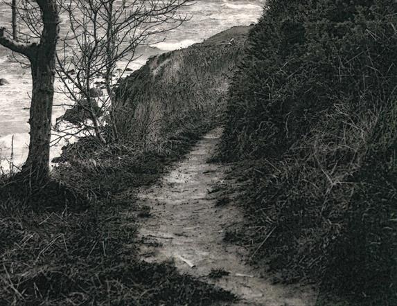 Islandmagee