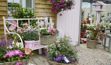 Creative Gardens Galgorm Castle