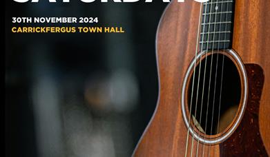 Acoustic Guitar