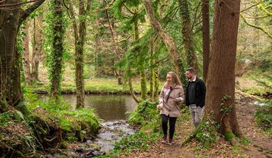 Man and woman walking alongside River in Glenarm Forest surrounded by trees