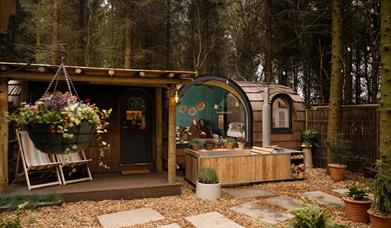 Galgorm - Forest Dens