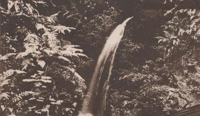 Postcard showing Waterfall, Magheramorne, Larne.