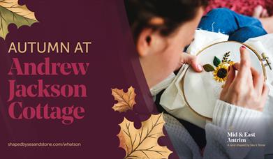 Image of cross stitch picture and a ladies hand