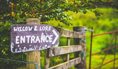Willow & Lore Welcome