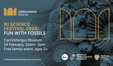 Fun with Fossils workshop