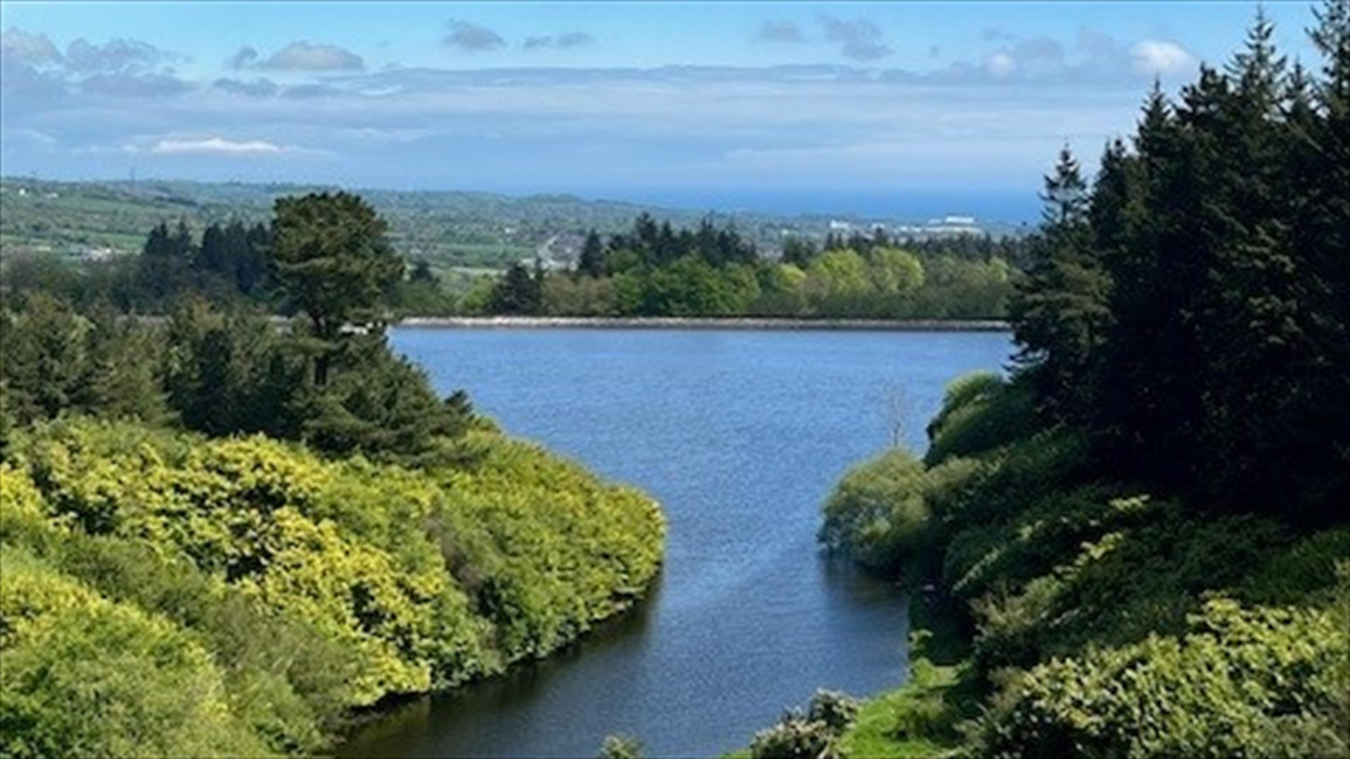 Angling @ North Woodburn Reservoir (Carrick Dams)