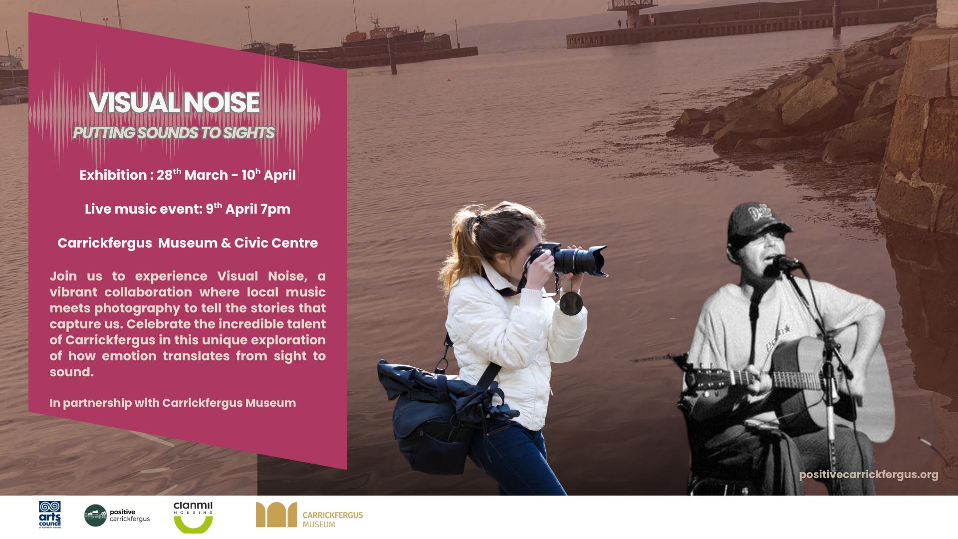 Poster advertising event called visual noise