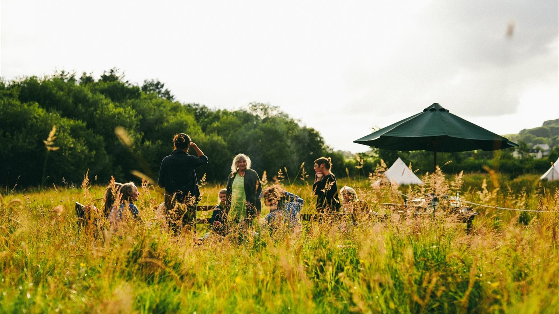 A small crowd are gathered in meadow clearing behind tall grasses on a summers day