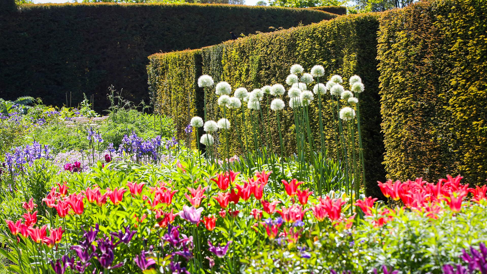 Glenarm Castle Tulip Festival 2026