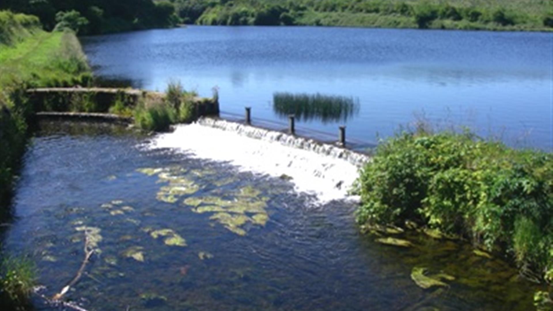 Angling @ North Woodburn Reservoir (Carrick Dams)