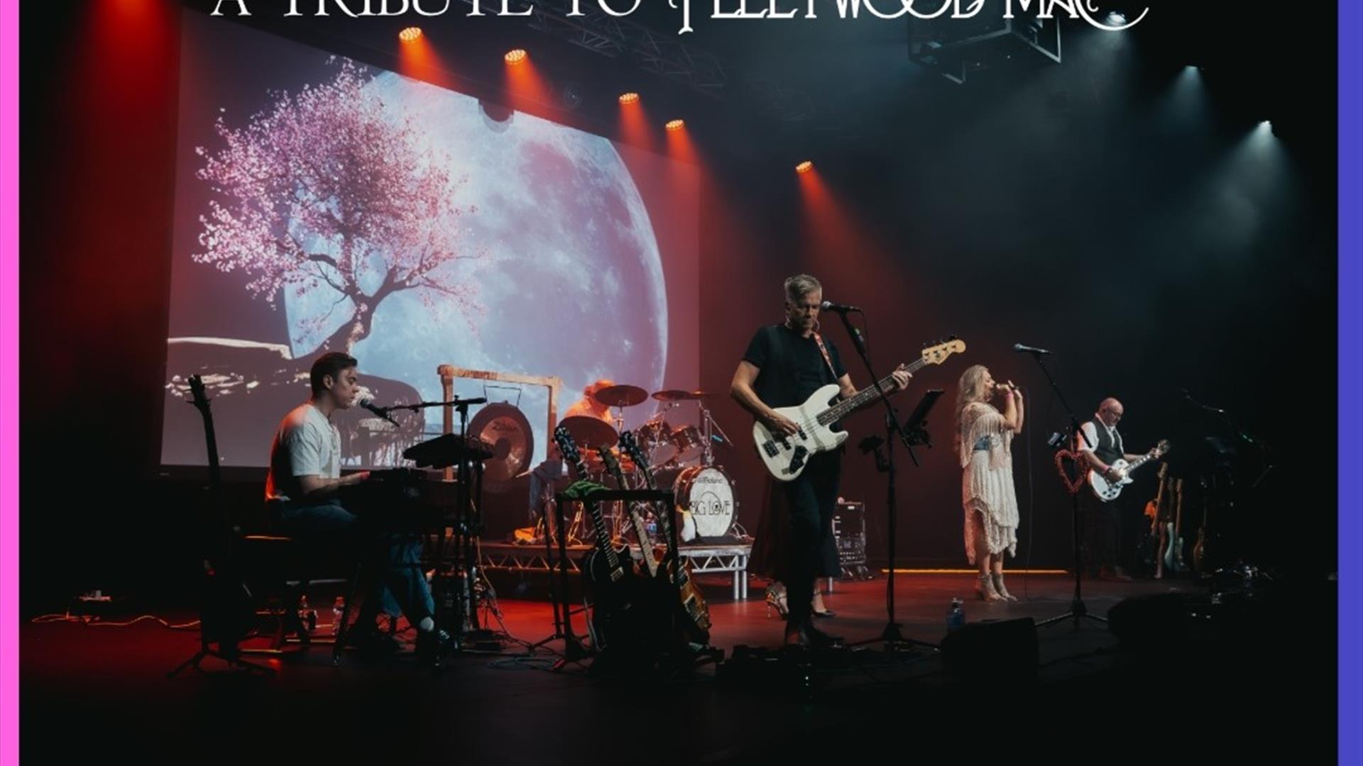 Big Love - A Tribute to Fleetwood Mac