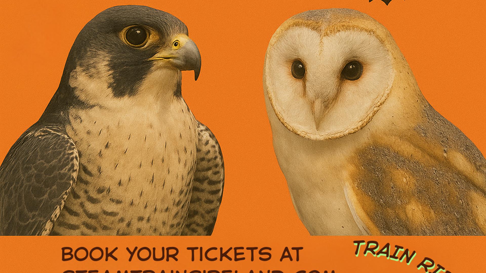 Wings and Whistles Poster
