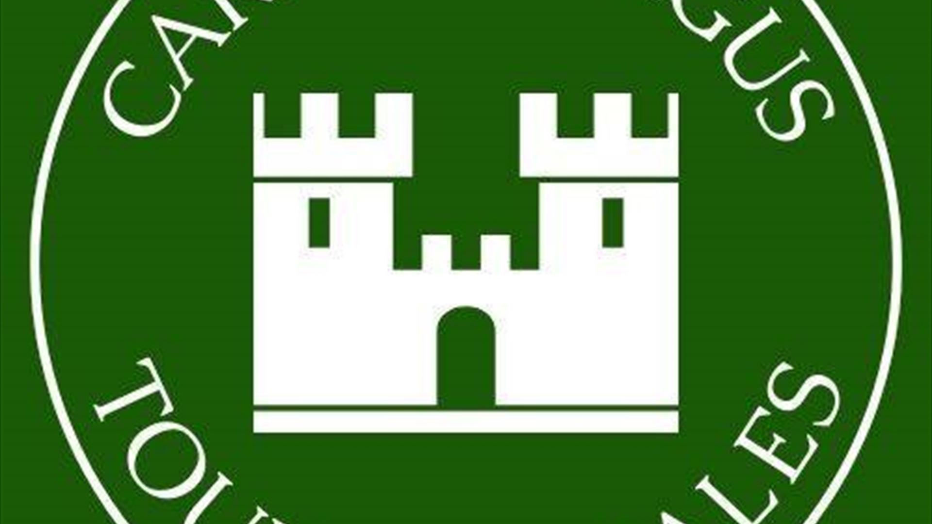 Logo got Carrickfergus Tours and Tales with green background and castle in the centre