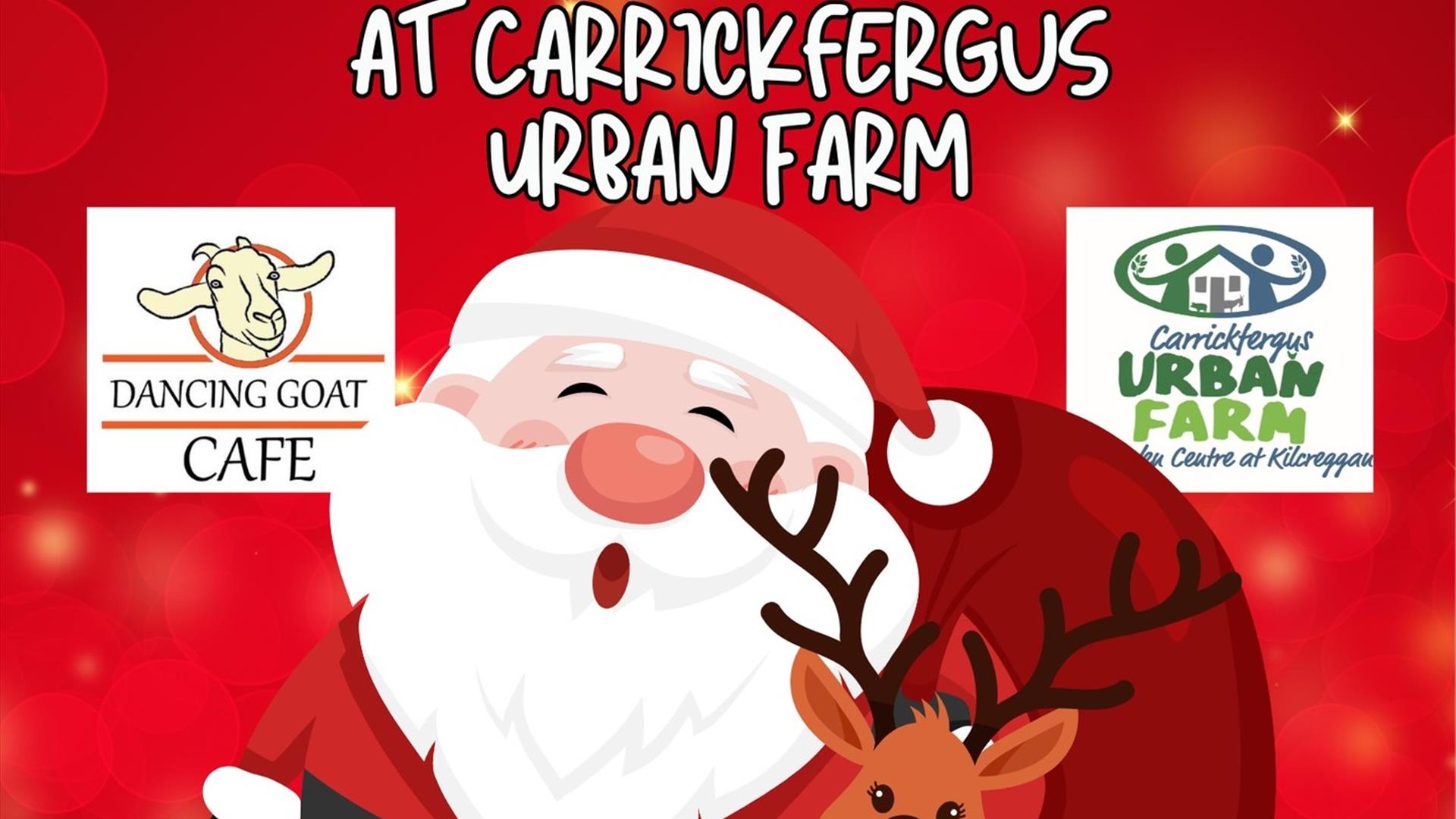 Carrickfergus Urban Farm Christmas Open Day