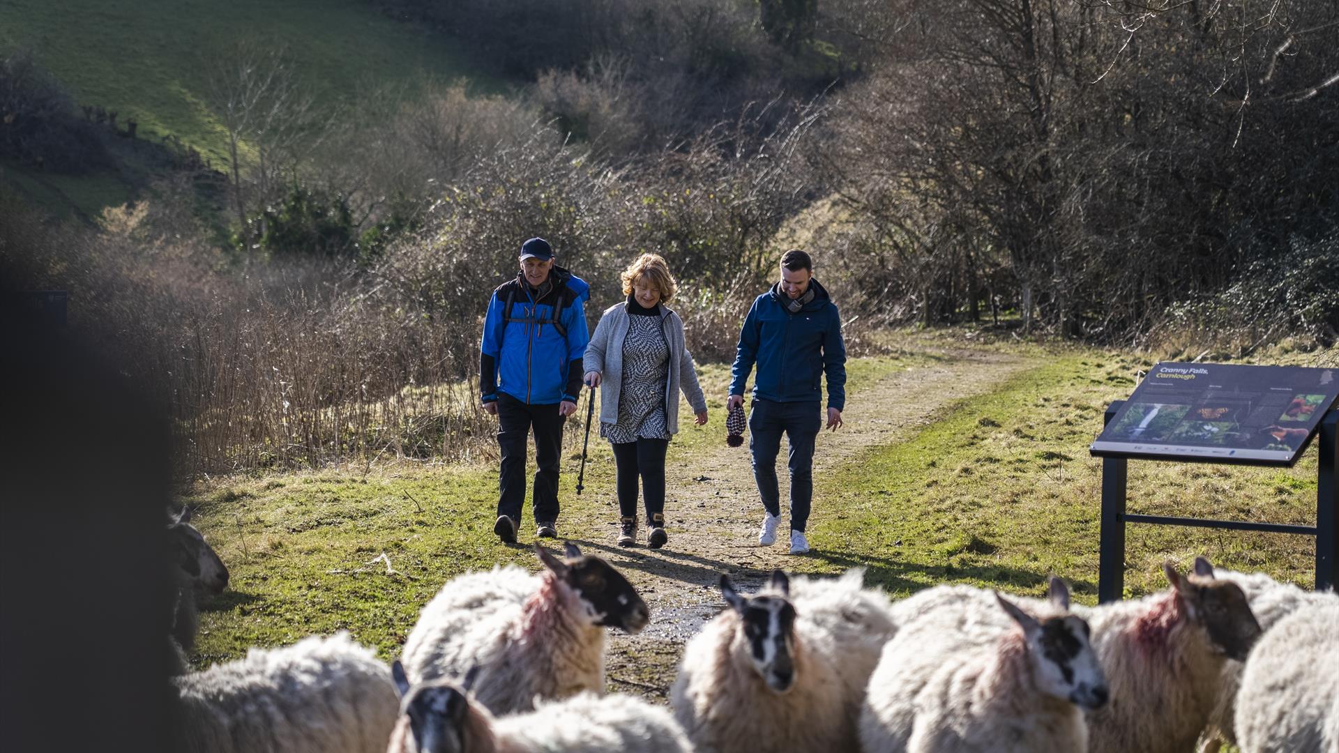 3 people walking on a path with sheep in the foreground
