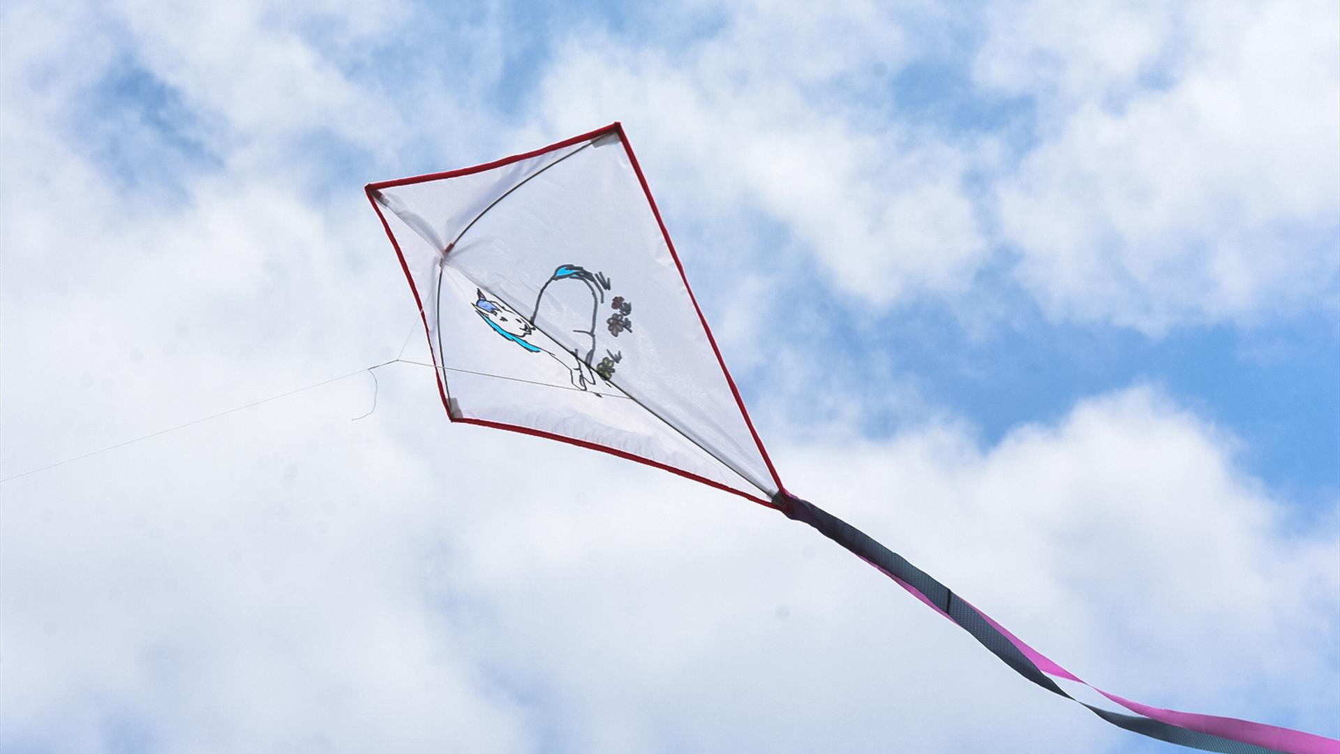 Kite