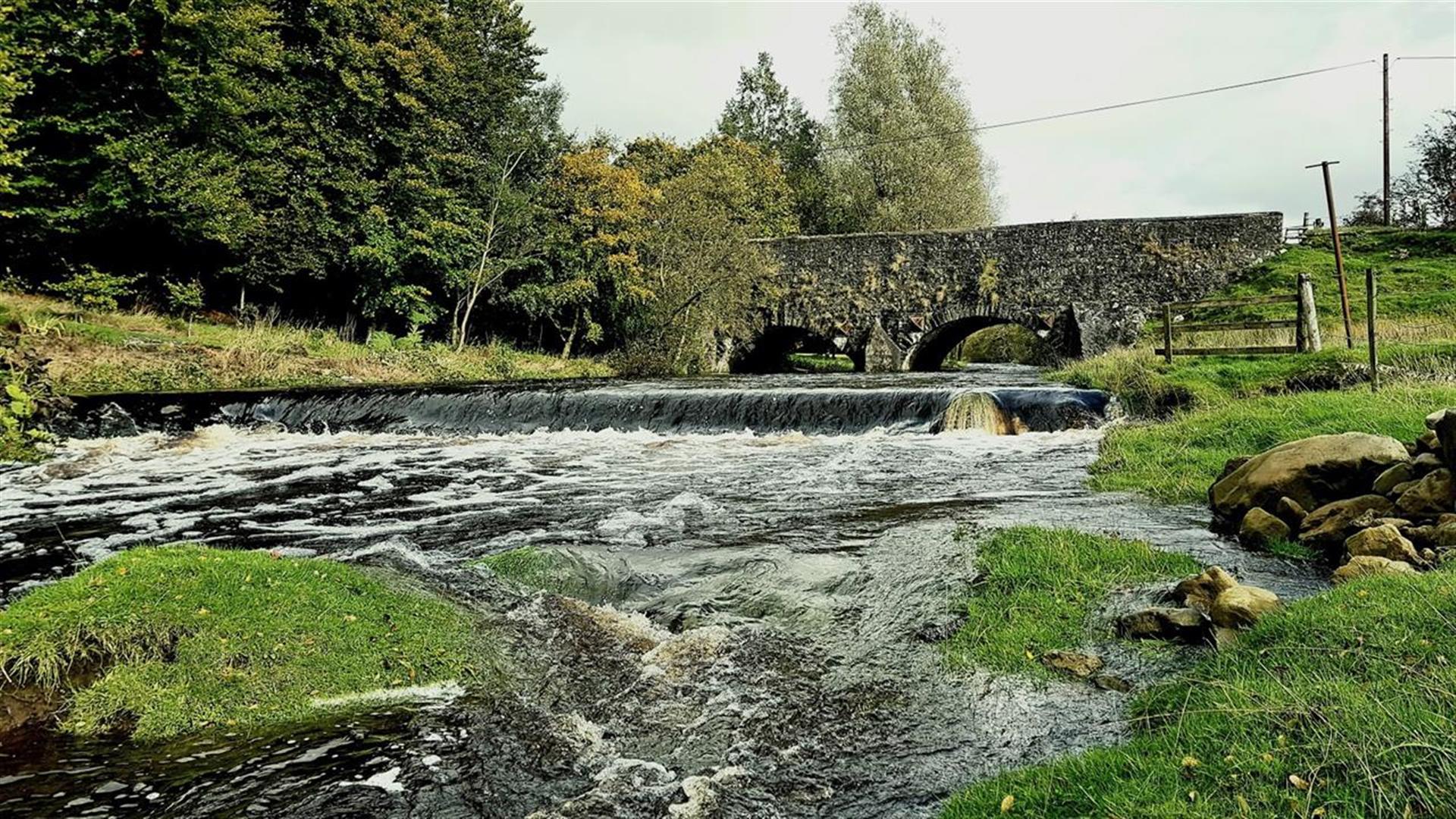 Trout Tours NI