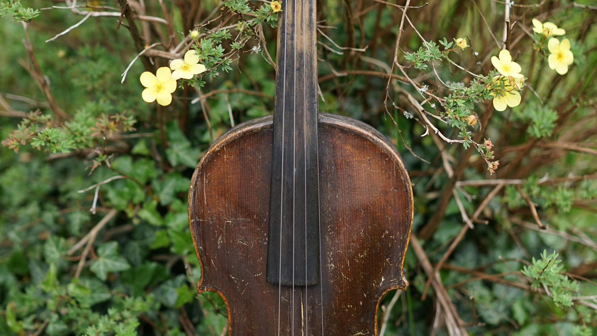 Fiddle and Fife