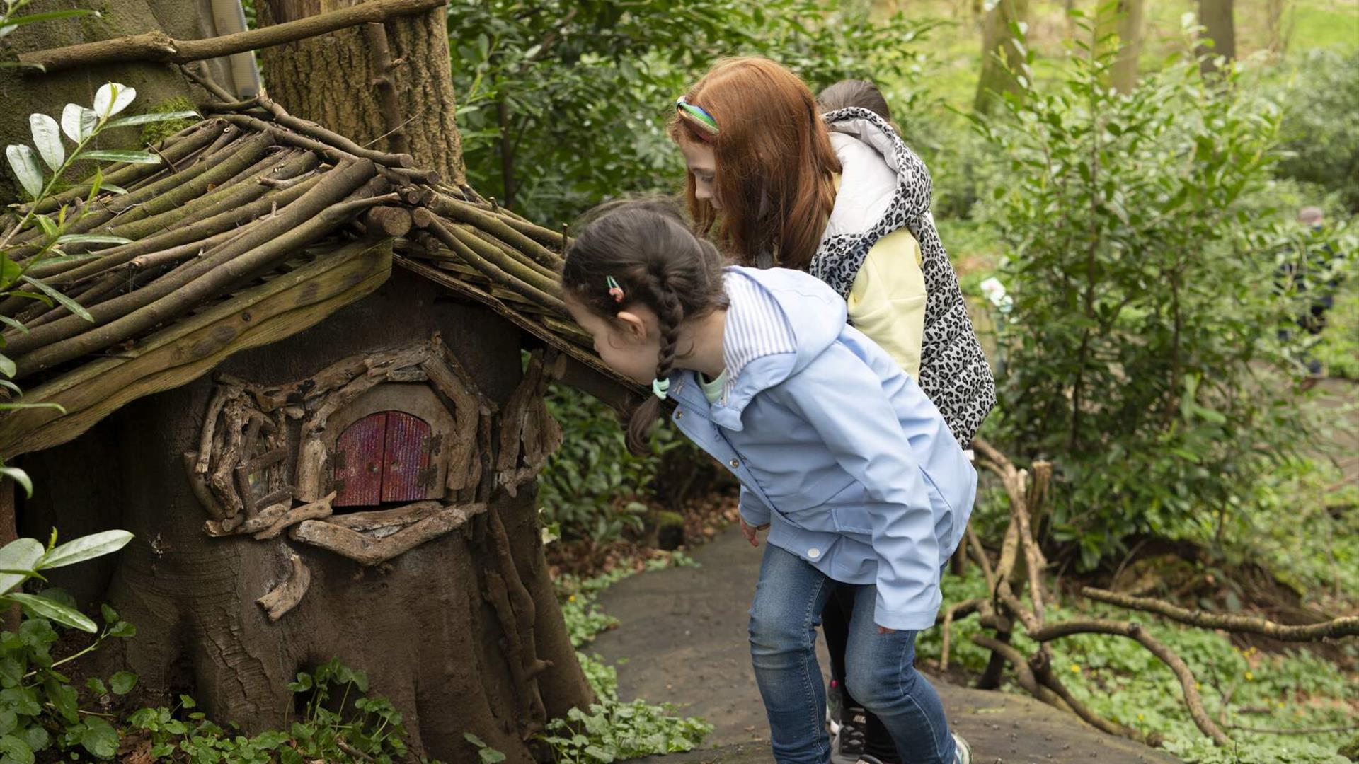 Galgorm Castle Fairy Trail