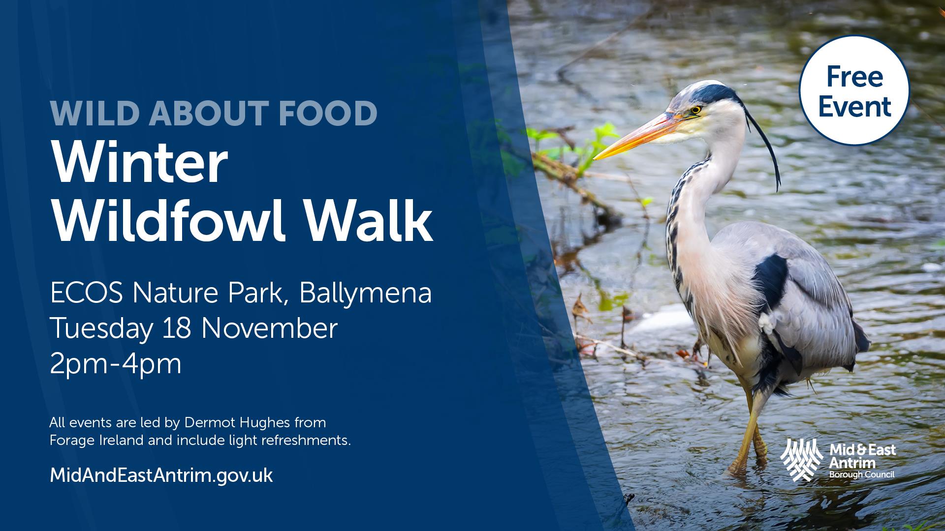 Winter Wildfowl Walk ECOS Nature Park Ballymena, Tuesday 18 November