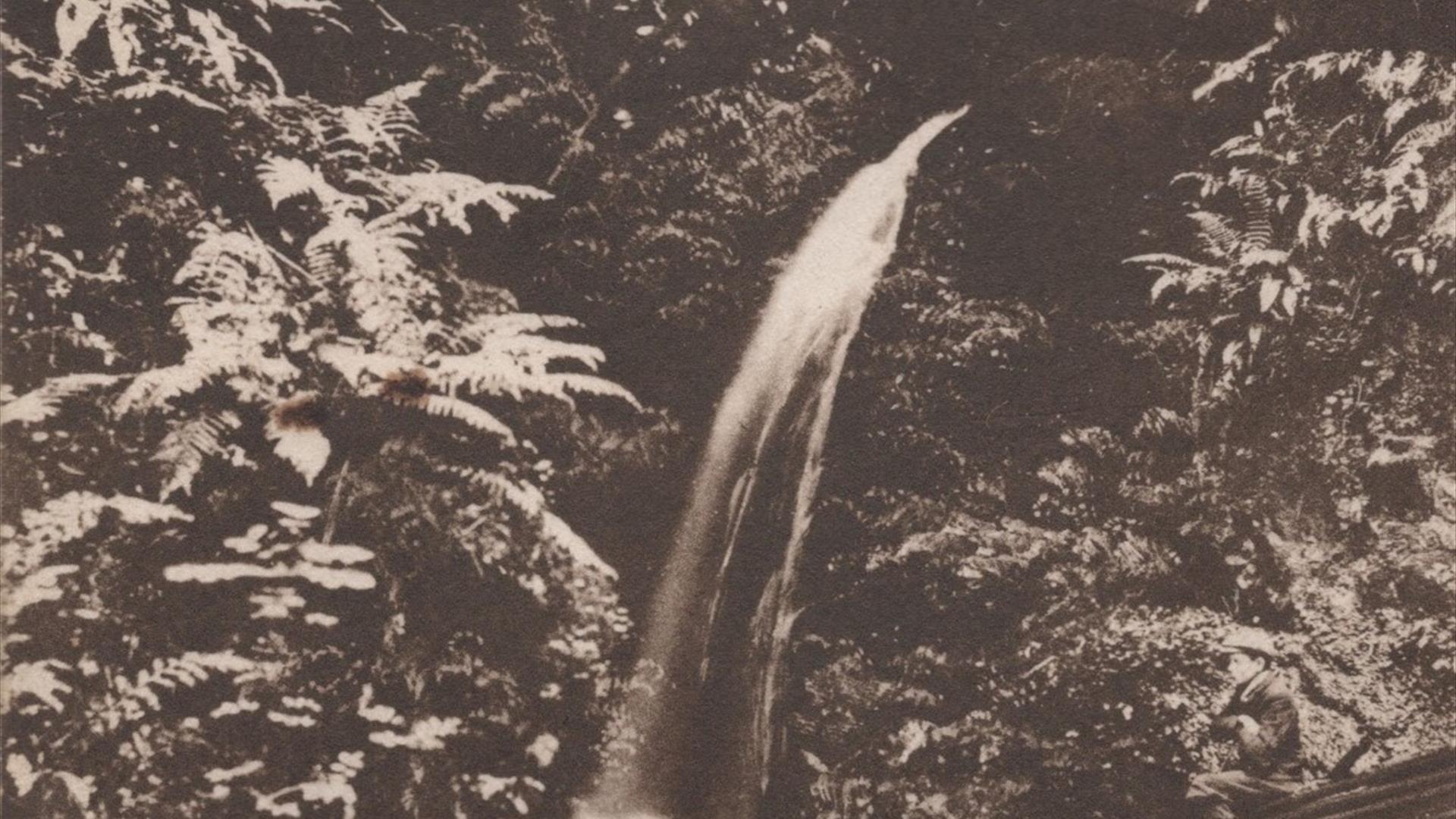 Postcard showing Waterfall, Magheramorne, Larne.