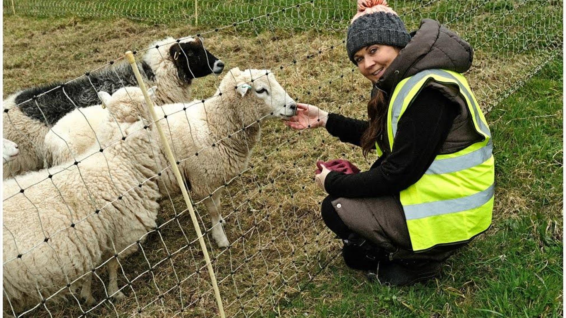 Bank of Ireland Open Farm Weekend - Jubilee Farm