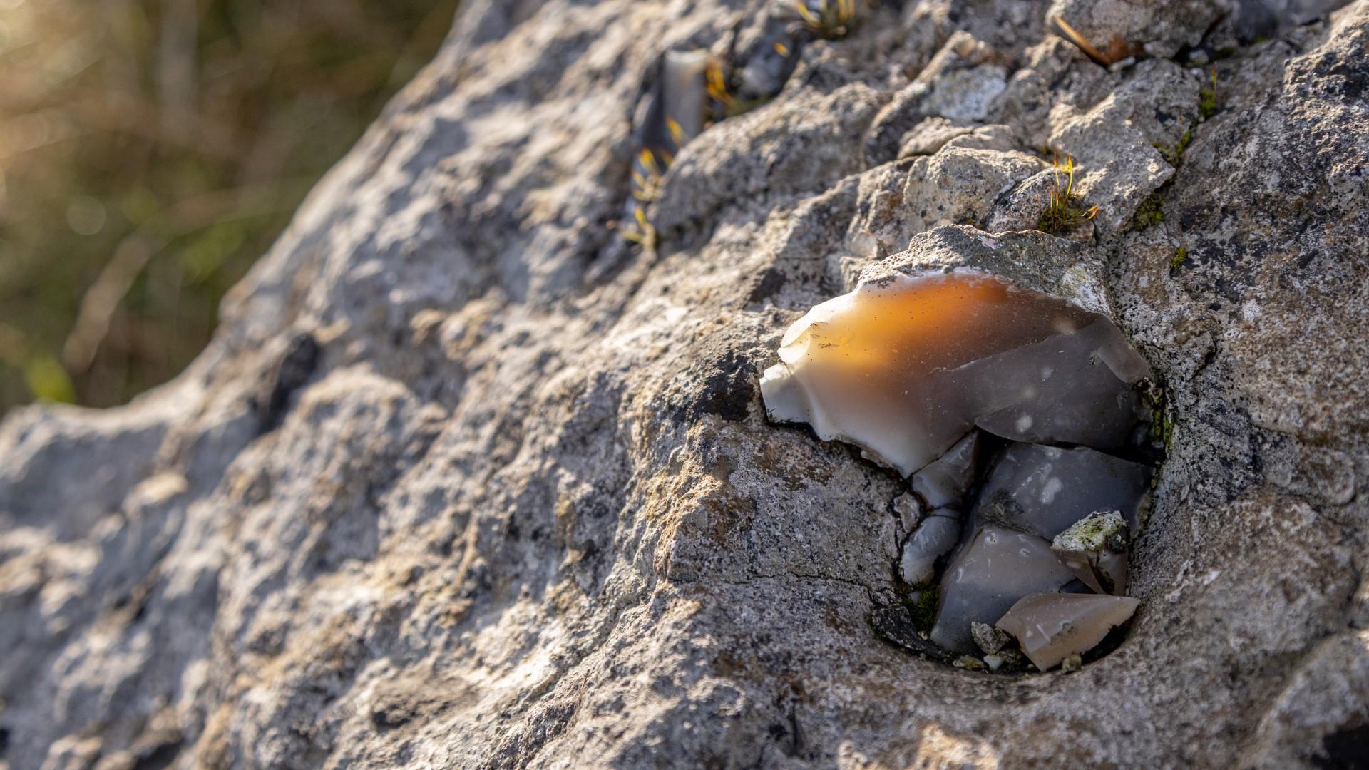 Flint bearing limestone cliffs at Glenarm by Paul McIlwaine
